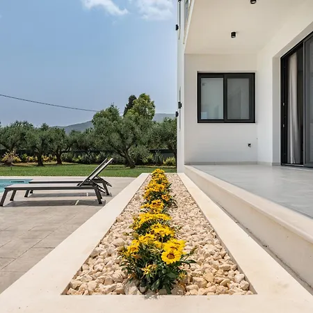 Zenith White Elegant 1 * Kalpaki (Zakynthos)