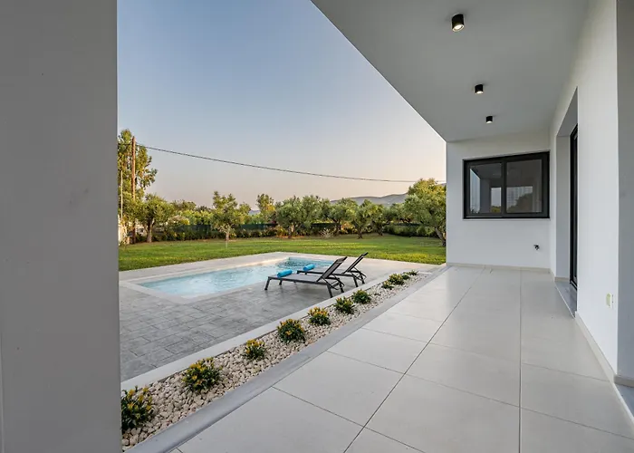 Zenith White Elegant 1