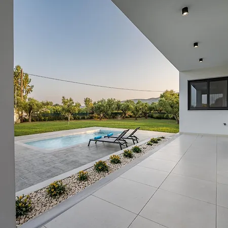 Zenith White Elegant 1